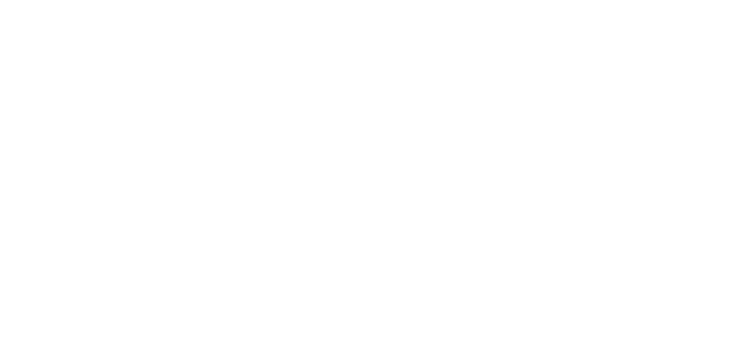 Custom Website Designs and SEO - white logo